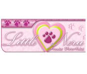 More about littleneru.com