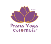 More about pranayogacolombia.com